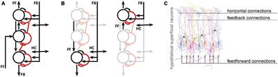 What multiplexing means for the interpretation of functional MRI data